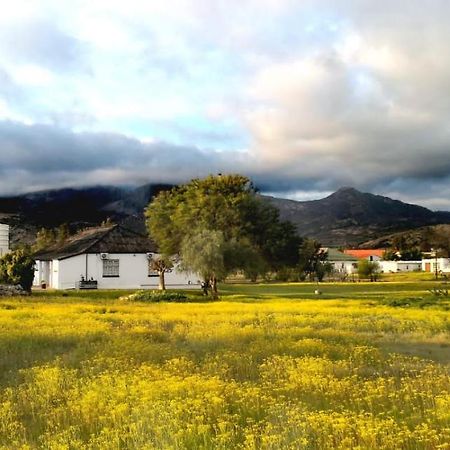 Harry'S Place Guesthouse Kamieskroon Esterno foto