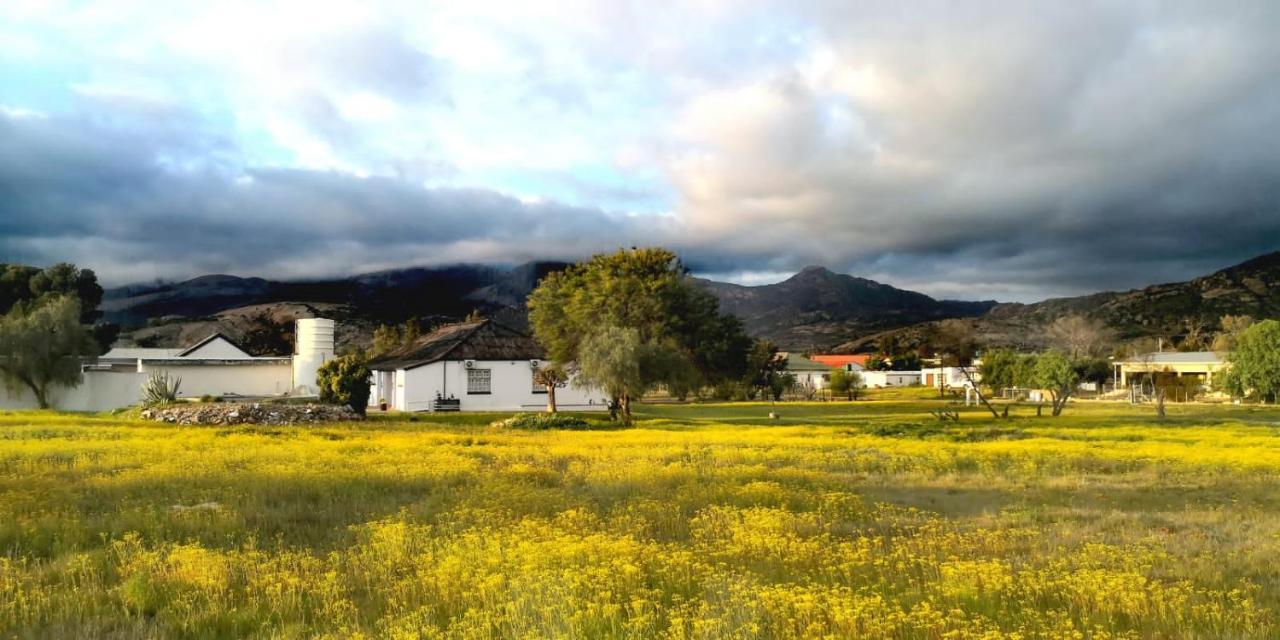 Harry'S Place Guesthouse Kamieskroon Esterno foto