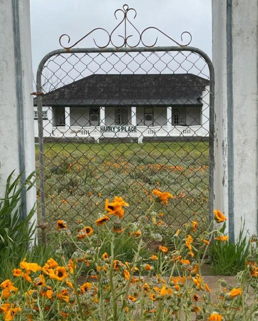 Harry'S Place Guesthouse Kamieskroon Esterno foto